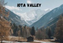 iotavalley.com