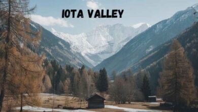 iotavalley.com